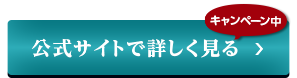 公式サイト